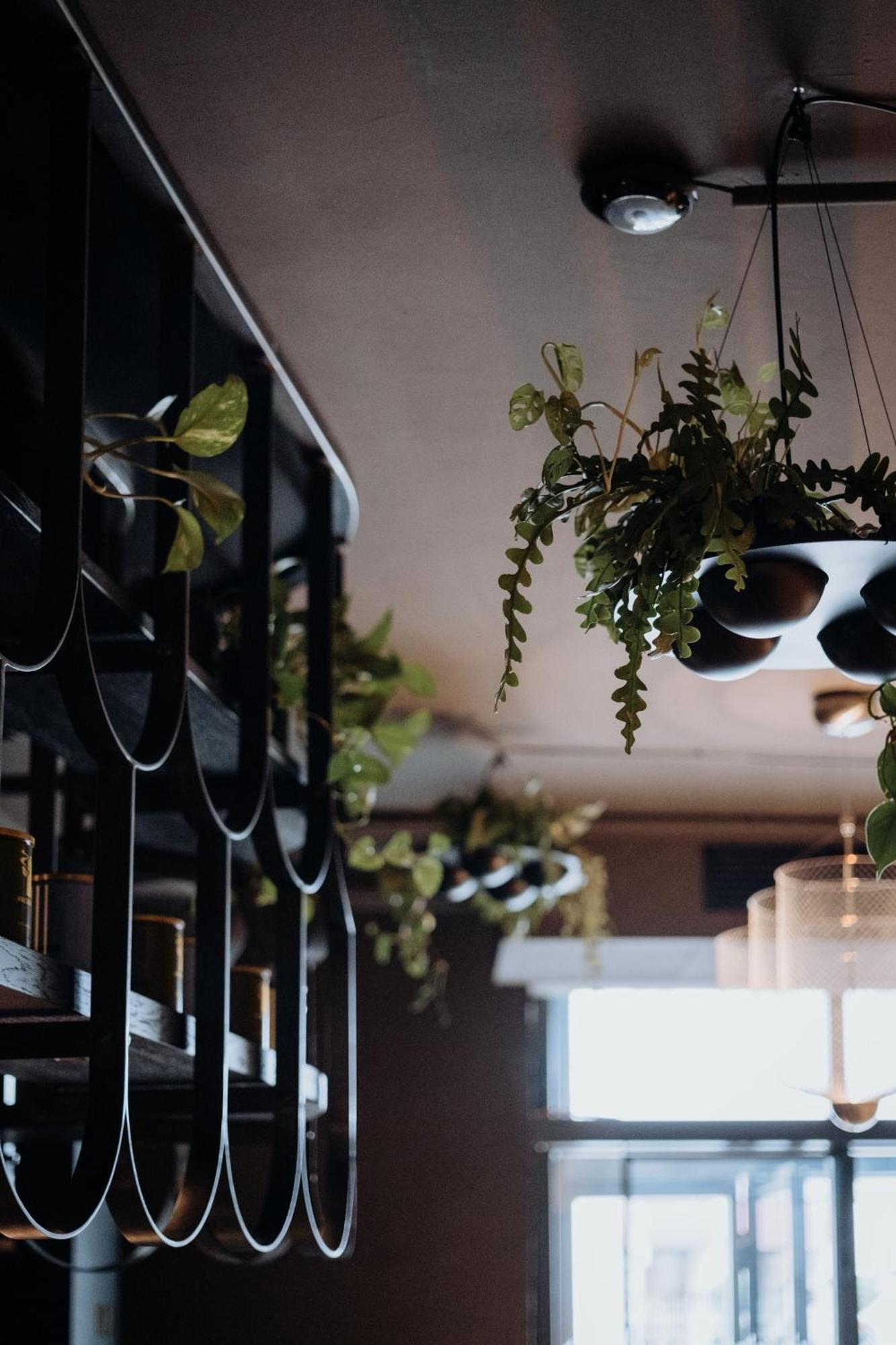 Gentle Hide Designhotel Salzburg Luaran gambar